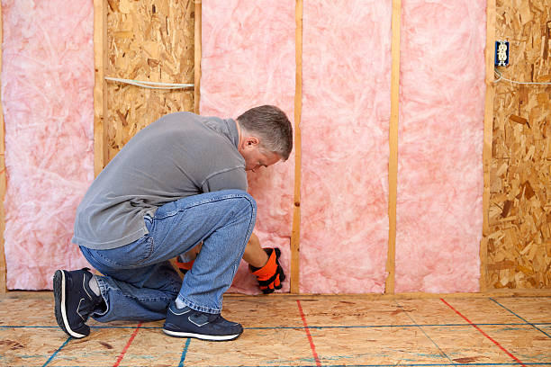 Best Geographic-Specific Insulation Services in Coalfield, TN